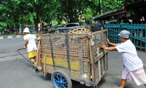 Bumi Langit