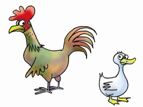 Ayam atau Bebek
