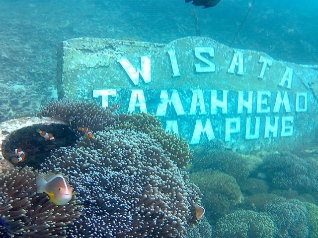 Wisata Lampung Terbaik yang Wajib Anda Kunjungi